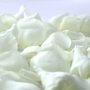 Roses Petals